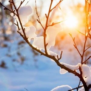 Meet your Posher, Katelynn